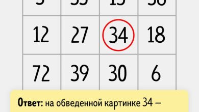 Photo of Игры на логику и внимание