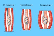Photo of Почему важно развивать гибкость и растяжку?