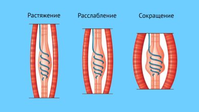 Photo of Почему важно развивать гибкость и растяжку?