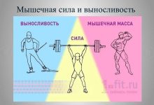 Photo of Тренировки на выносливость и силу