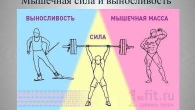 Photo of Тренировки на выносливость и силу