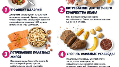 Photo of Питание для набора мышечной массы