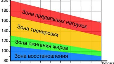 Photo of Тренировочный режим для оптимальных результатов