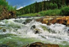 Photo of Пороги